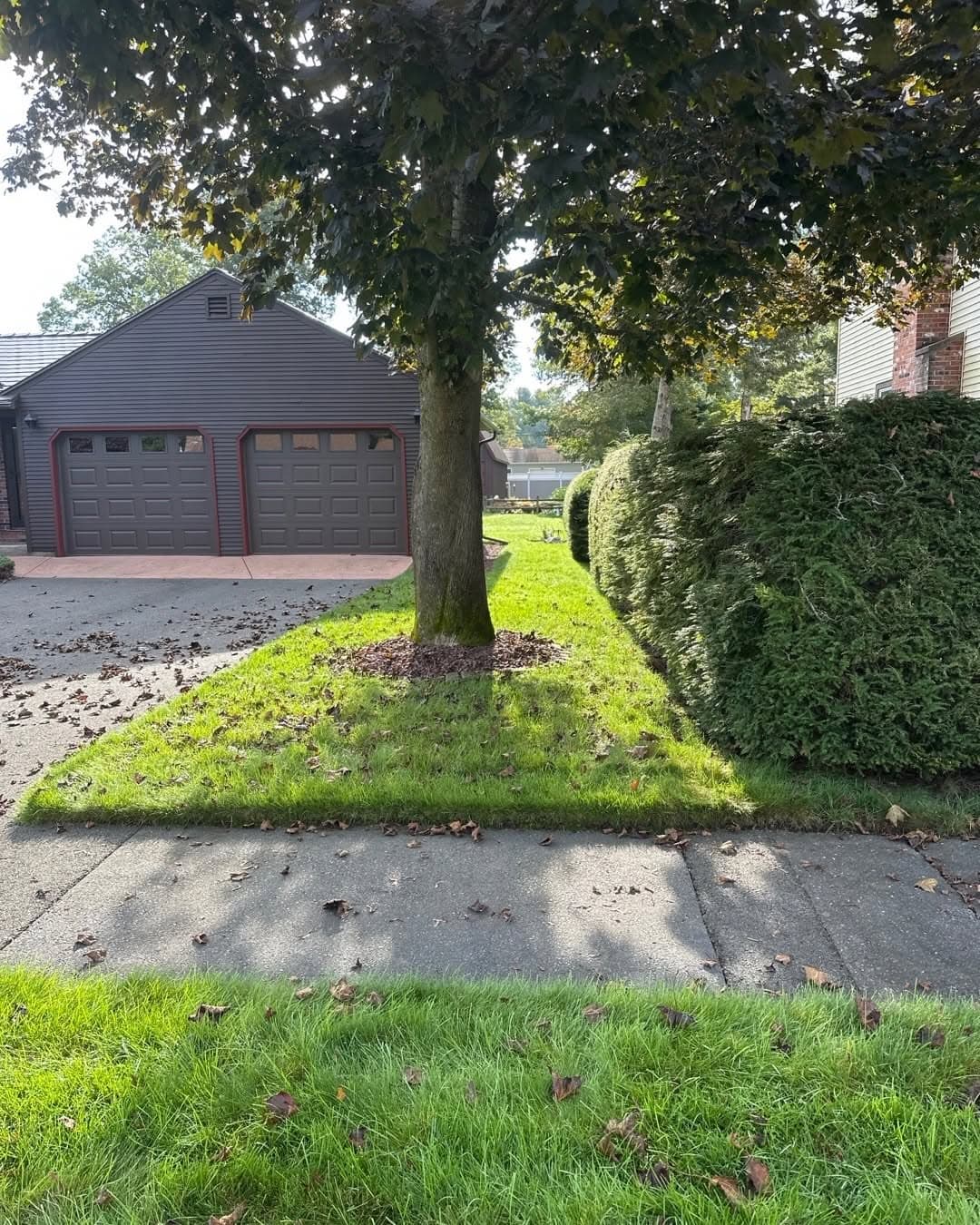 Mulch Installation