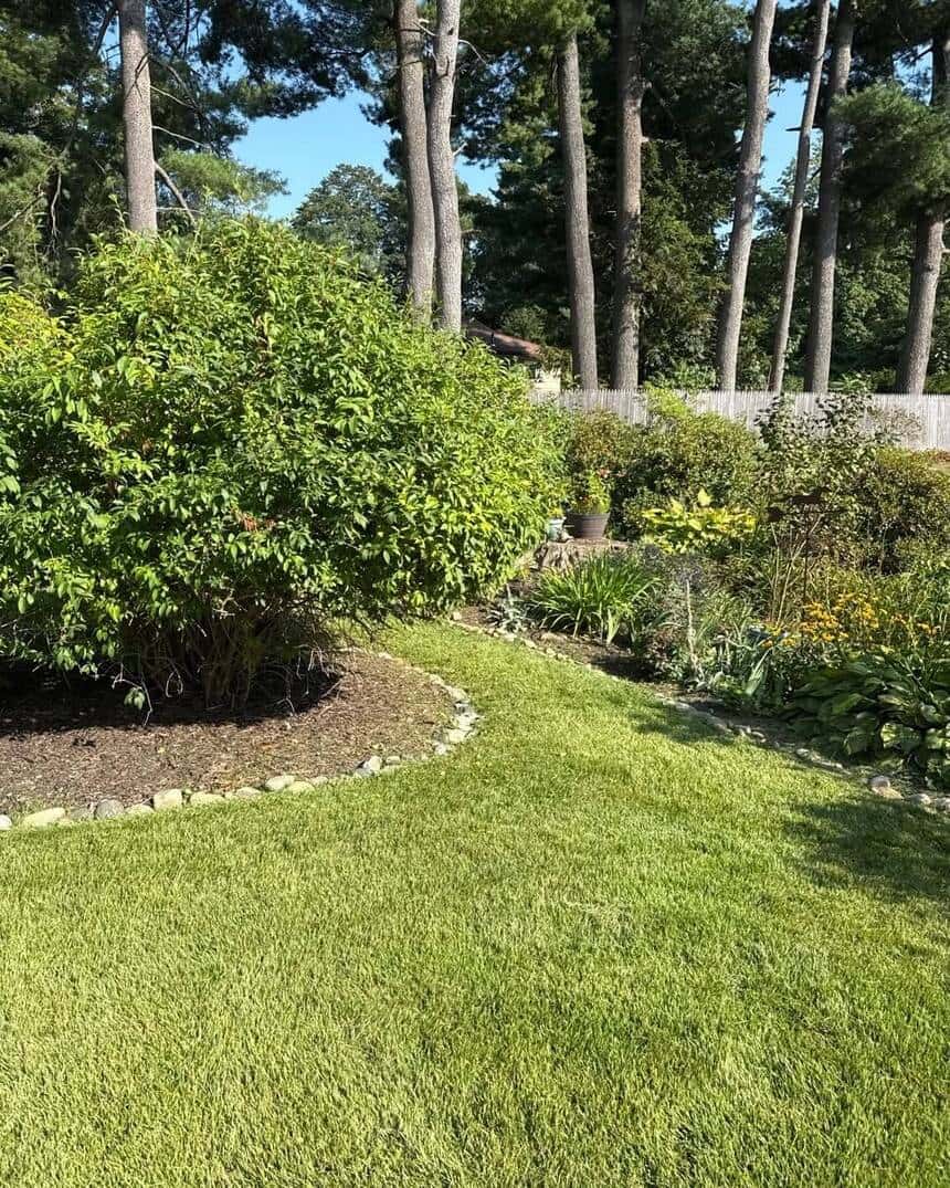 Landscape Design & Installation