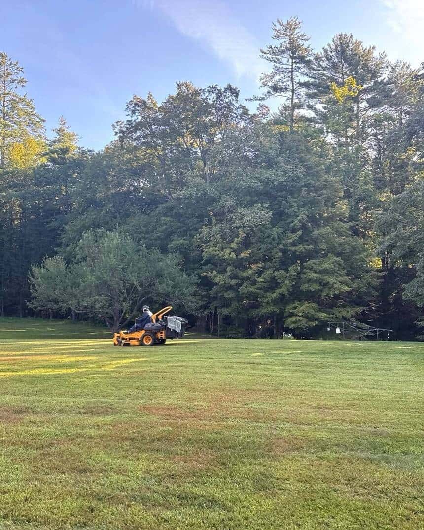 Lawn Mowing & Maintenance